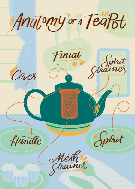 infographic of anatomy of a teapot in cartoon sketch style